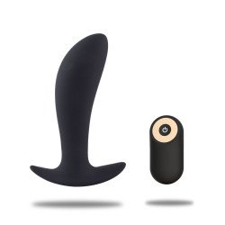 Secret Lover Anal Vibrator